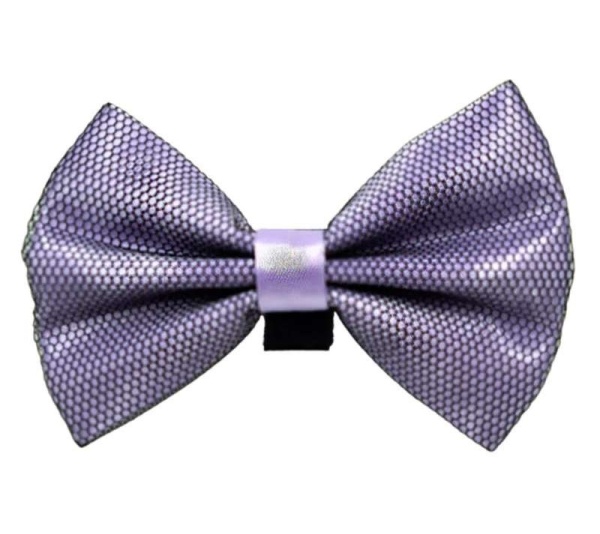 4 - PR3005|Pets Ribbons - 2"