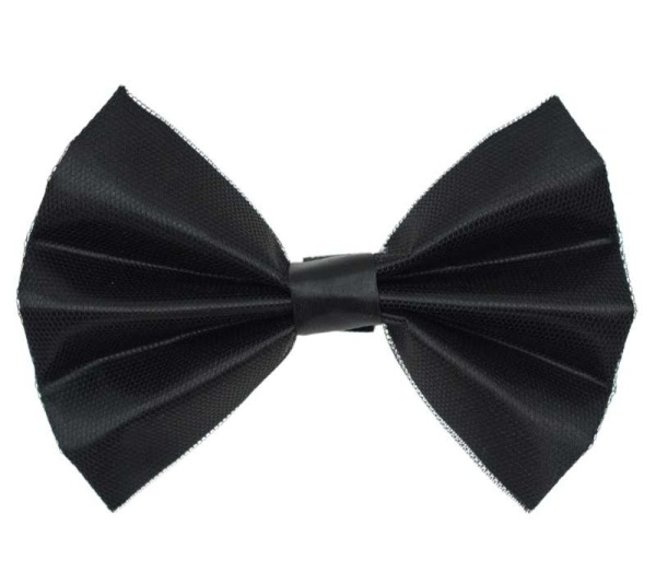 5 - PR3005|Pets Ribbons - 2"