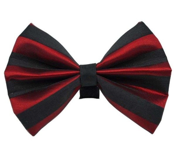 2 - PR3006|Pets Ribbons - 2"