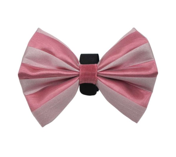 12 - PR3006|Pets Ribbons - 2"