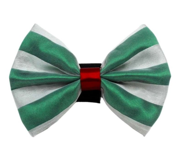 7 - PR3006|Pets Ribbons - 3"