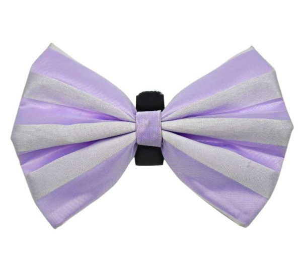 10 - PR3006|Pets Ribbons - 4"