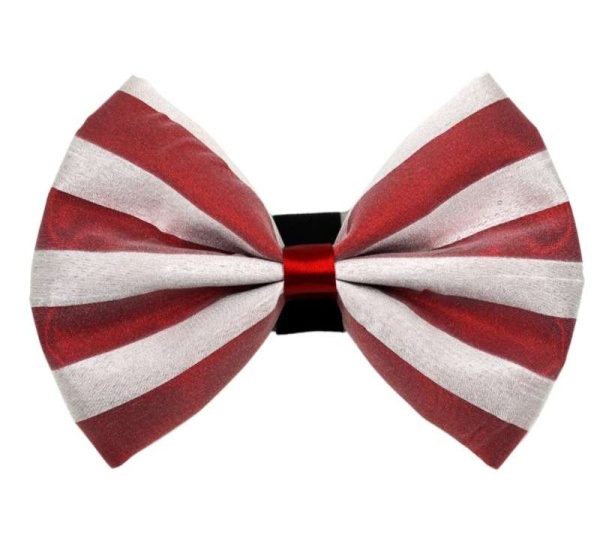 3 - PR3006|Pets Ribbons - 4"