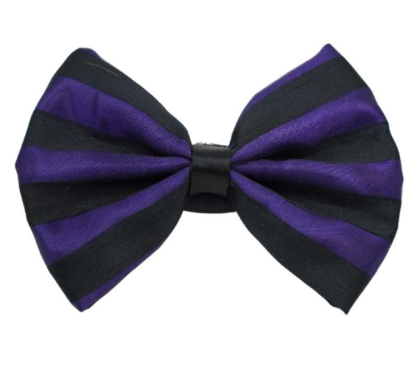 5 - PR3006|Pets Ribbons - 4"