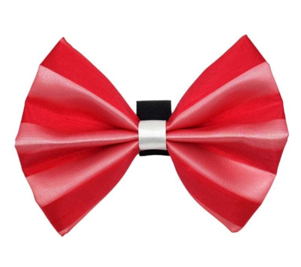 4 - PR3006|Pets Ribbons - 6"