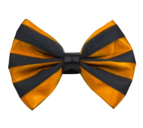 6 - PR3006|Pets Ribbons - 6"