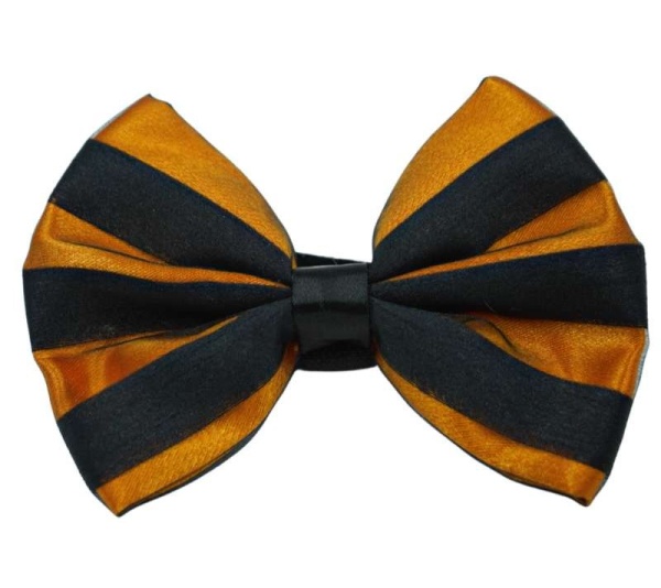 Orange - PR3006HS|Pets Ribbons - 4"