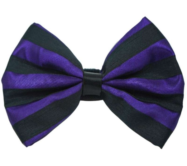 Purple - PR3006HS|Pets Ribbons - 2"