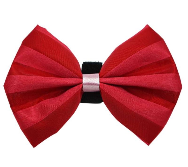 Lavendar/White - PR3006VA|Pets Ribbons - 4"