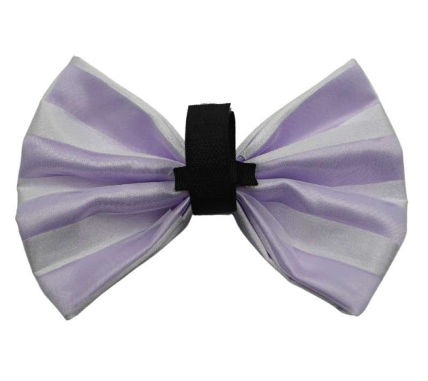 Red/Pink - PR3006VA|Pets Ribbons - 2"