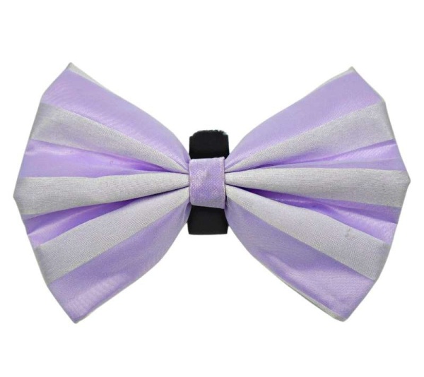 Red/Pink - PR3006VA|Pets Ribbons - 3"