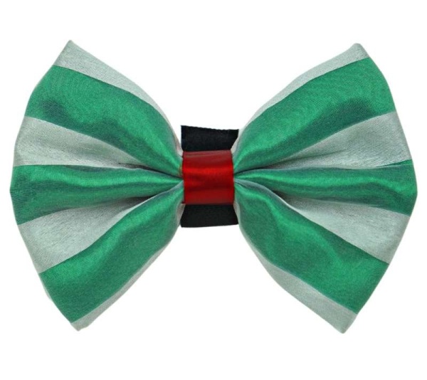 Green/White - PR3006X|Pets Ribbons - 2"