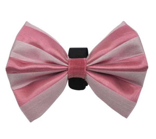 Pink/White - PR3006VA|Pets Ribbons - 6"