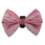 Pink/White - PR3006VA|Pets Ribbons - 6"