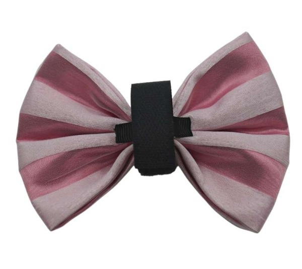 Pink/White - PR3006VA|Pets Ribbons - 6"
