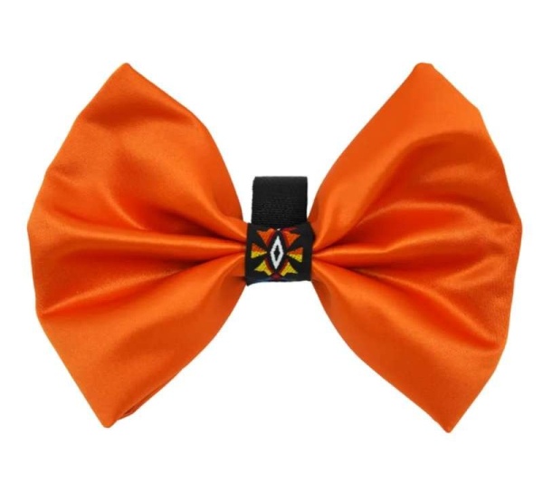 Orange - PR3007|Pets Ribbons - 3"