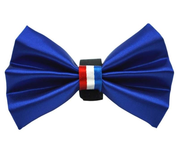 Blue - PR3009|Pets Ribbons - 4"