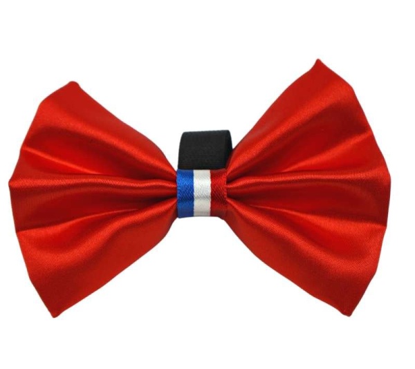 Red - PR3009|Pets Ribbons - 6"