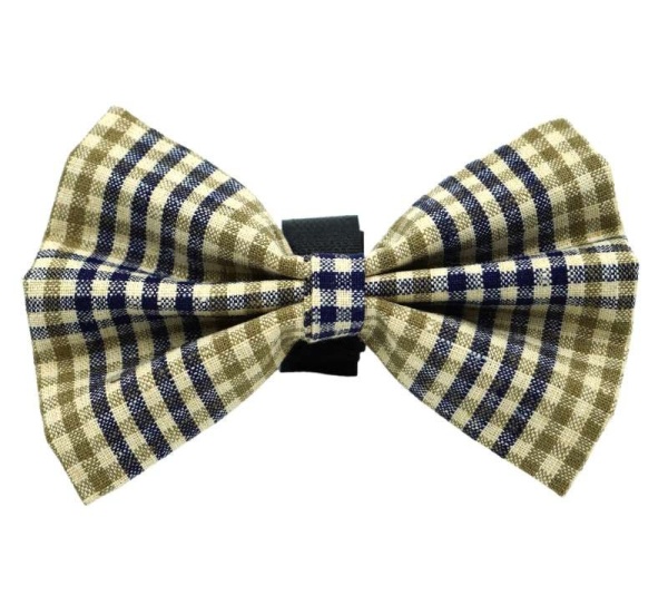 Flax - PR4004|Pets Ribbons - 4"