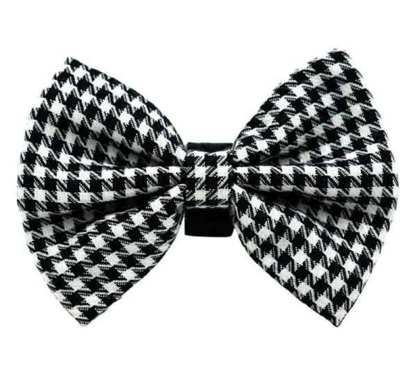 PR4002|Pets Ribbons - 3"