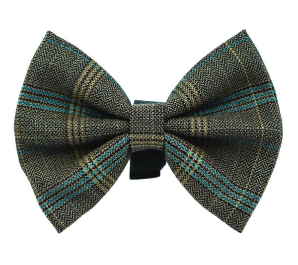 PR4003|Pets Ribbons - 3"