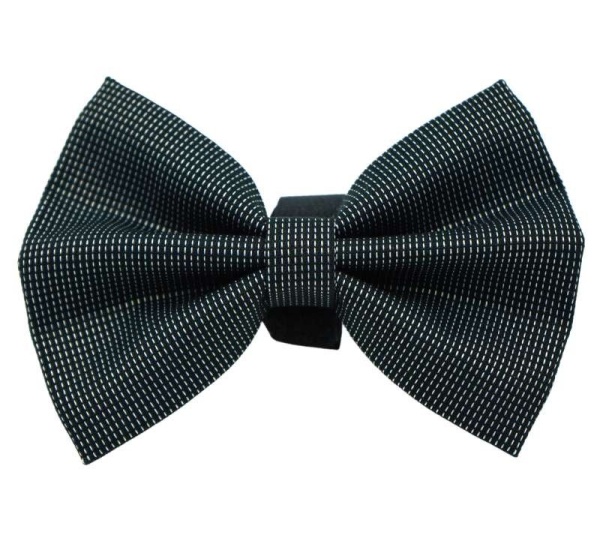 PR4006|Pets Ribbons - 4"