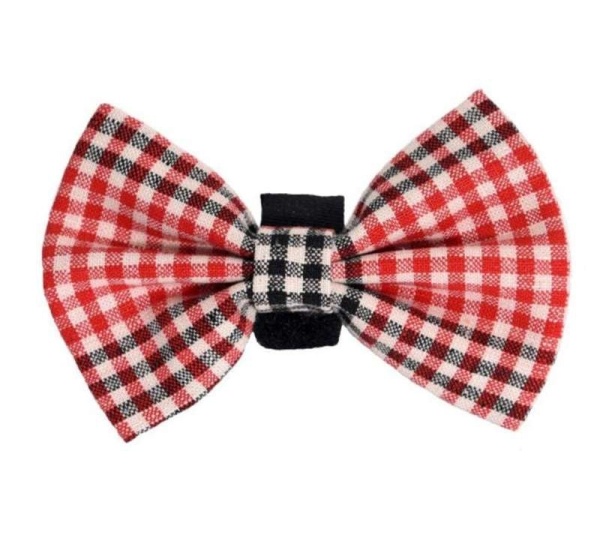 Red - PR4004|Pets Ribbons - 6"