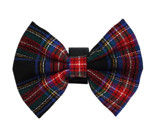 Blue - PR4013|Pets Ribbons - 3"