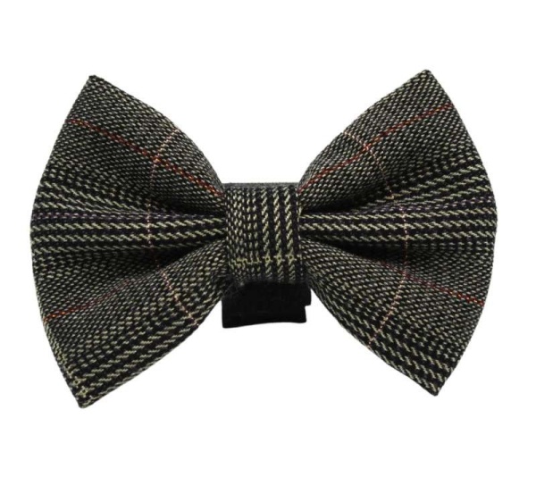 PR4014|Pets Ribbons - 2"