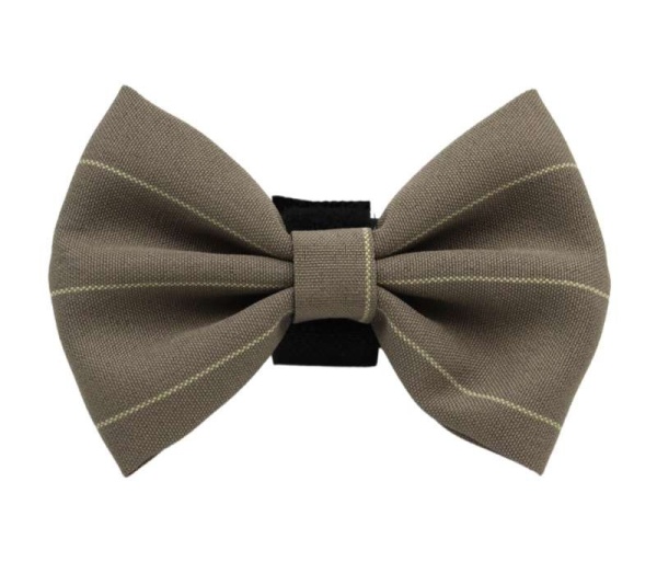 PR4015|Pets Ribbons - 4"