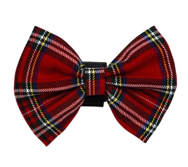 Red - PR4013|Pets Ribbons - 5"