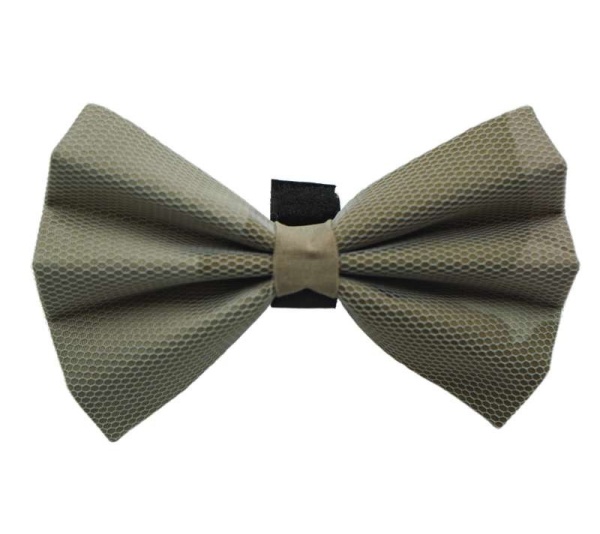 Beige - PR5001|Pets Ribbons - 2"