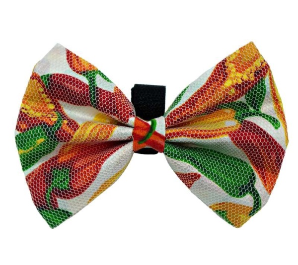 White - PR5005|Pets Ribbons - 4"