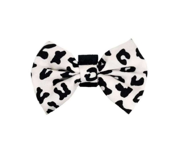 White - PR6000|Pets Ribbons - 2"