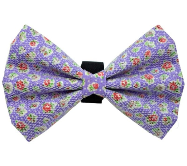 PR8000|Pets Ribbons - 5"