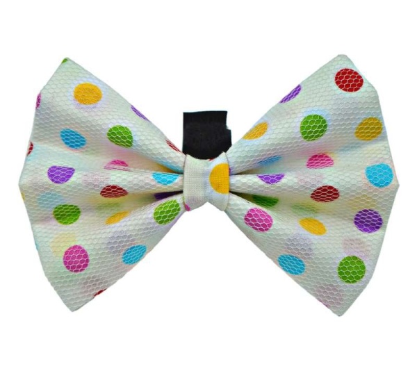 PR8001|Pets Ribbons - 6"