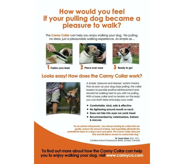 Canny Collar Display Box