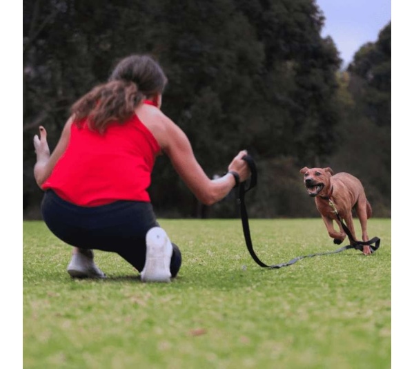 Canny Recall Leash - 15ft long 5/8" width