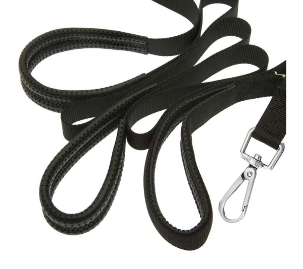 Canny Recall Leash - 15ft long 5/8" width