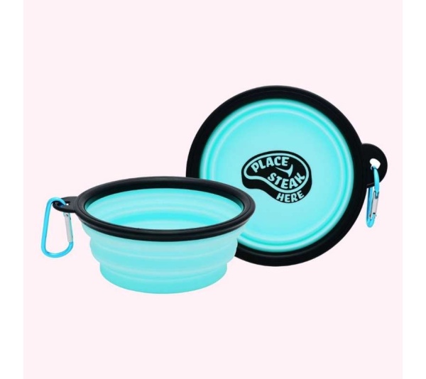 "Place Steak Here" Aqua Dog Bowl