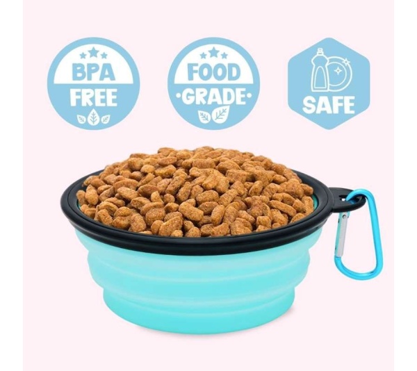 "Place Steak Here" Aqua Dog Bowl