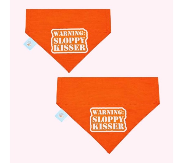 "Warning Sloppy Kisser" Orange Collar Bandana - Medium
