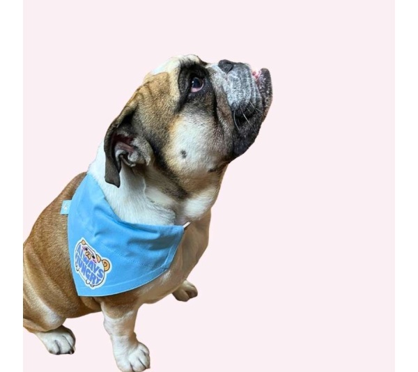 "Always Hungry" Blue Collar Bandana - Large