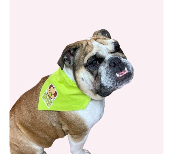 "Fetch Bitch" Lime Green Collar Bandana - Large