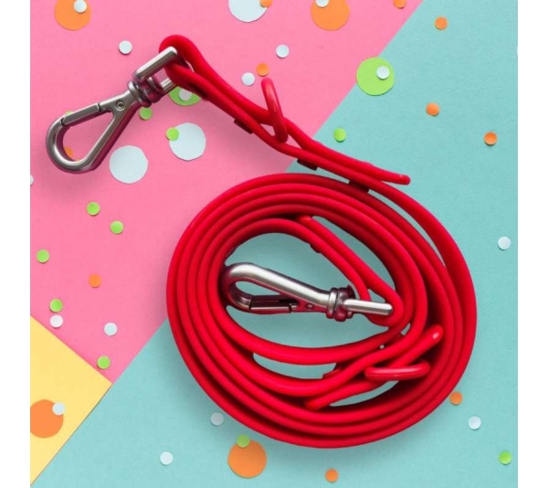"Spoiled" Red Leash