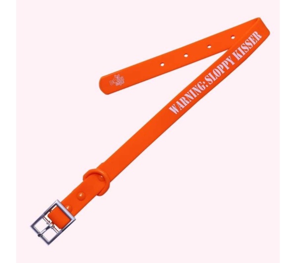 "Warning: Sloppy Kisser" Orange Silicone Collar - Medium