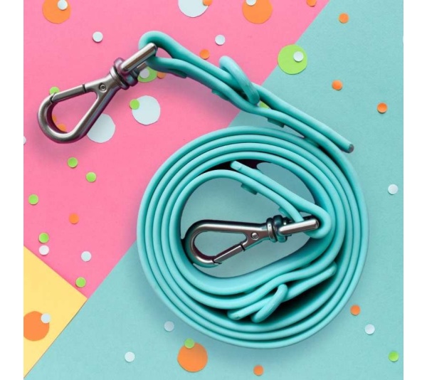 "Bark Bark Bitch" Aqua Leash