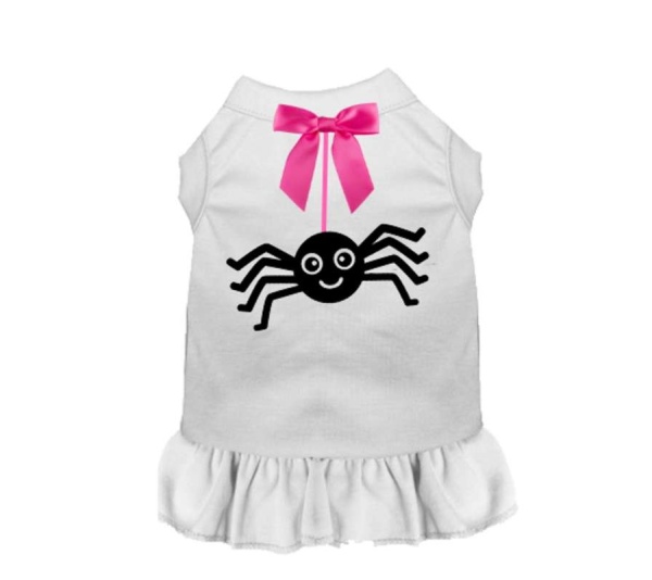 Itsy Bitsy Spooky Spider- Dog Dress - L