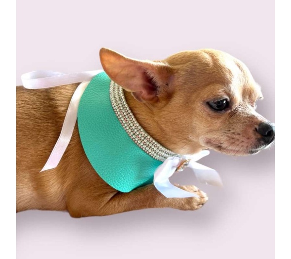 Sniffany Blue Neck Collar- Dog Neck Collar