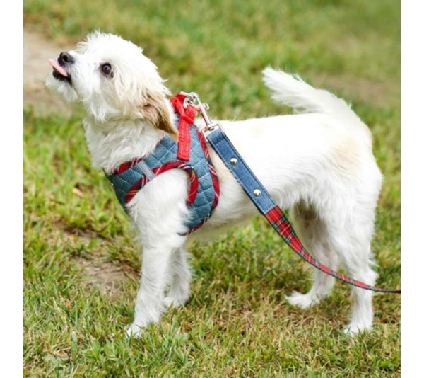 Denim & Red Plaid - Step-In Denim Harness - Medium
